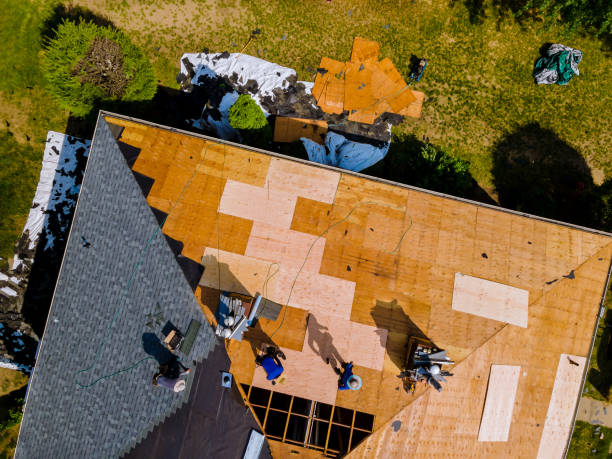 Best Roof Repair Services  in Lake Leann, MI