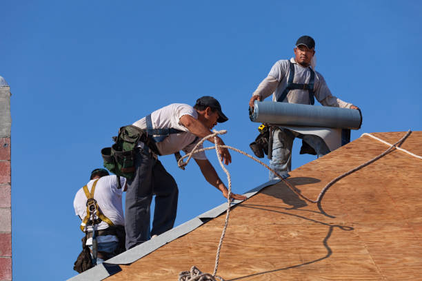 Best Commercial Roofing Services  in Lake Leann, MI