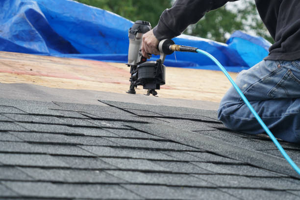 Best Flat Roof Repair Services  in Lake Leann, MI