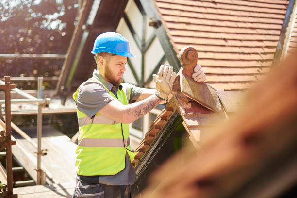 Best Metal Roofing Contractor  in Lake Leann, MI